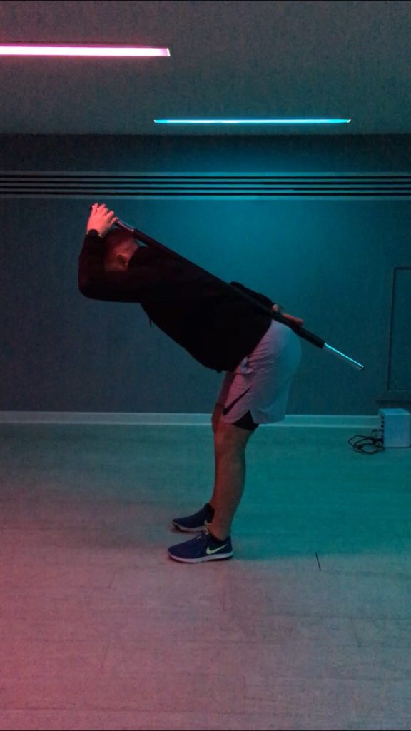 Hip hinge